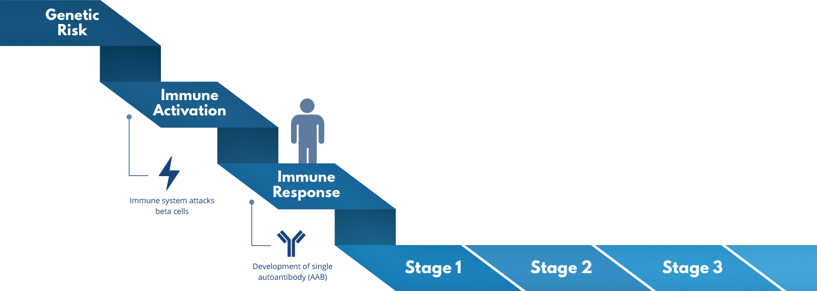 The states of Type 1 Diabetes show in progression on a ribbon