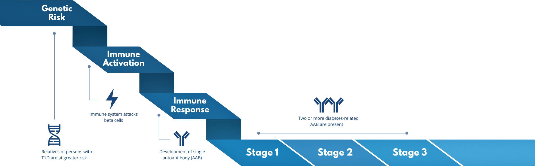 The states of Type 1 Diabetes show in progression on a ribbon