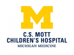 Michigan logo