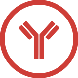 Autoantibody symbol